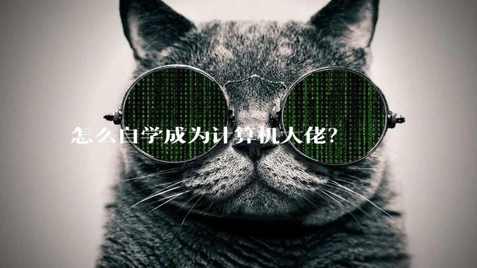 怎么自学成为计算机大佬?