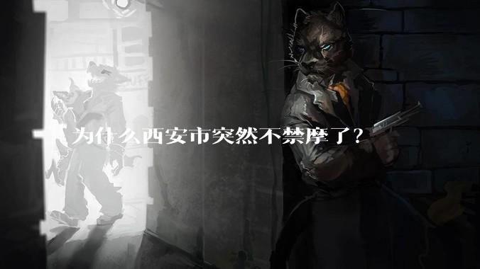 为什么西安市突然不禁摩了?