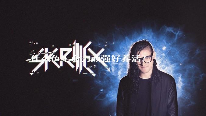什么鱼生命力顽强好养活?