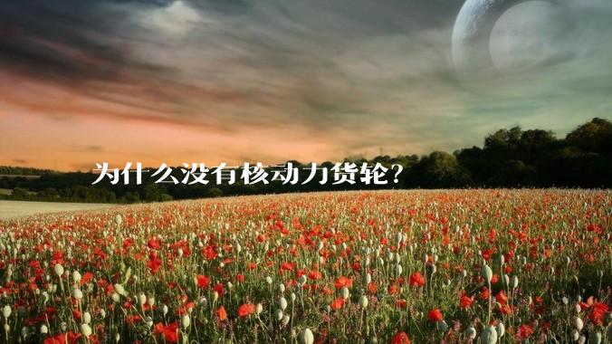 为什么没有核动力货轮?