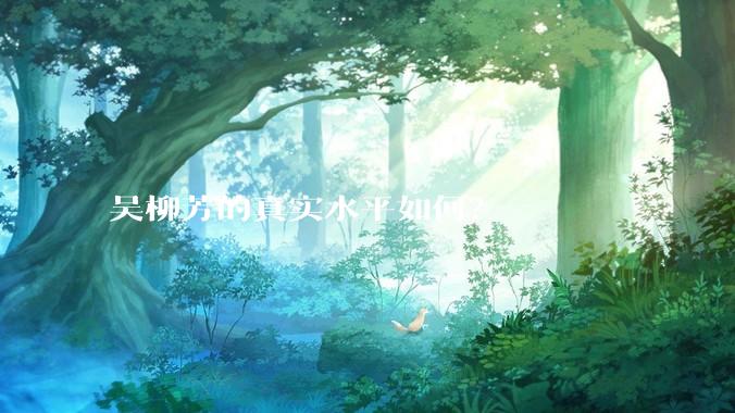 吴柳芳的真实水平如何?